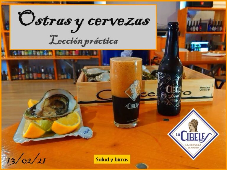 oyster stout leccion practica